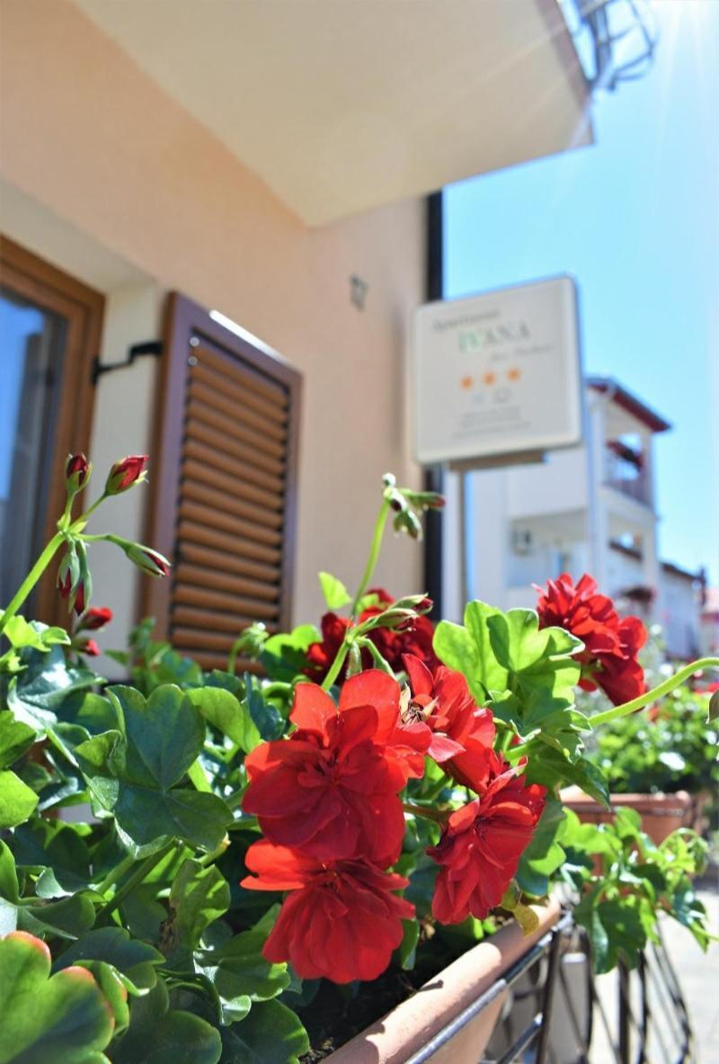 Apartments & Rooms Ivana Rovinj Zimmer foto